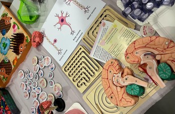 The Faculty of Education and Psychology at ELTE Joins Brain Awareness Week