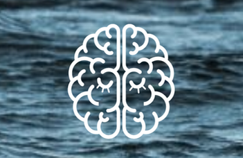 EEG and Sleep Laboratory